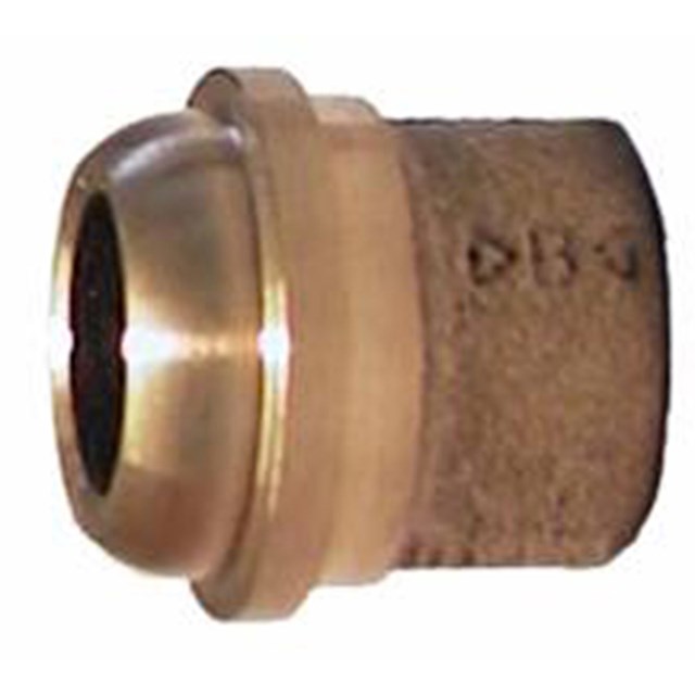 Glander 4381