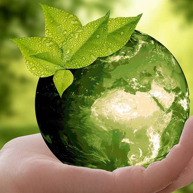 Hand haelt gruene  Erdkugel